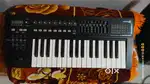 Roland A 300 pro Midi Keyboard