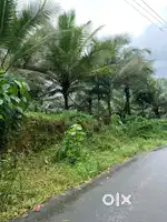 Plot for sale in maranchatty
