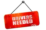Need personal driver to drive cars