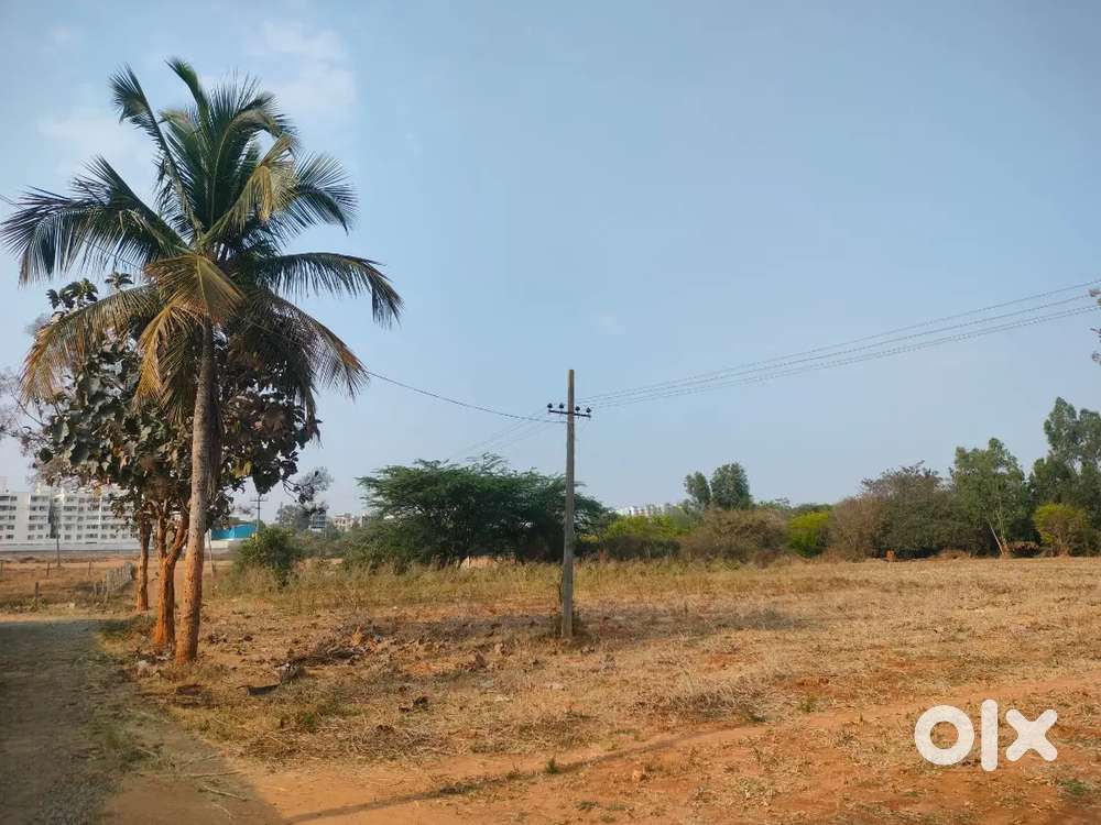 Site for sale in vry cheap prise