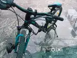 Ninnety one snow leopard bicycle