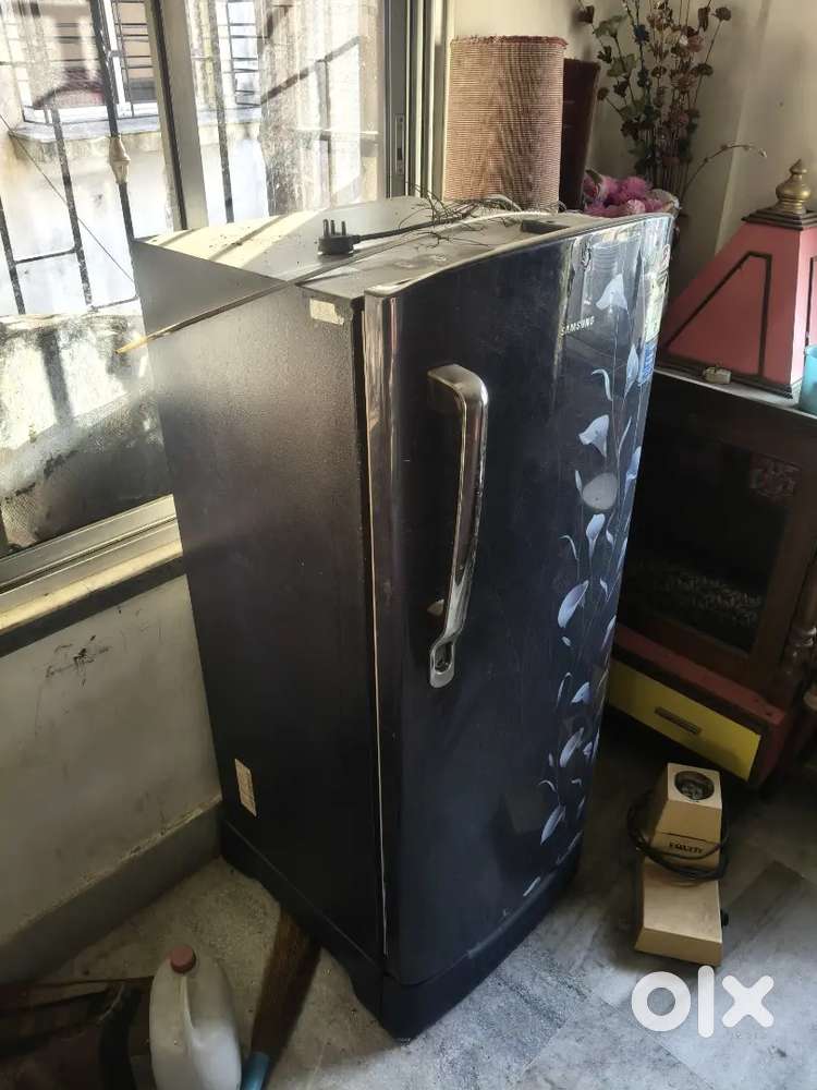 Fridge single door