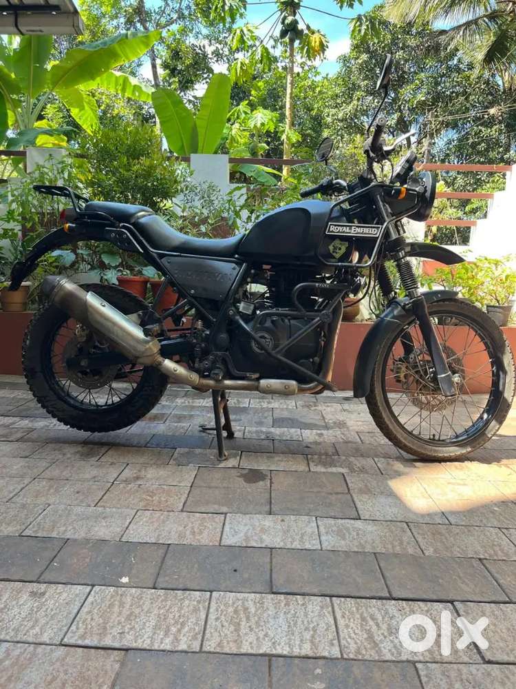 BS4 Himalayan for sale
