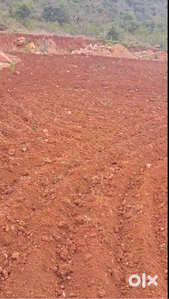5-Acre Agricultural Land for Sale – Keeripatti, Attur (Salem District)
