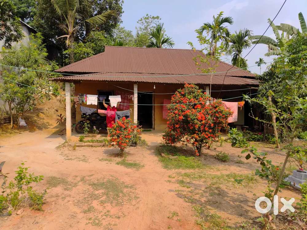 jogendranagar datta para ,near datta para club,