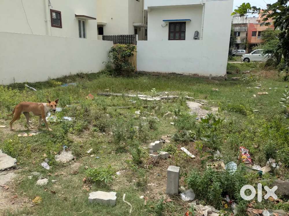 520 sft patta land madambakkam