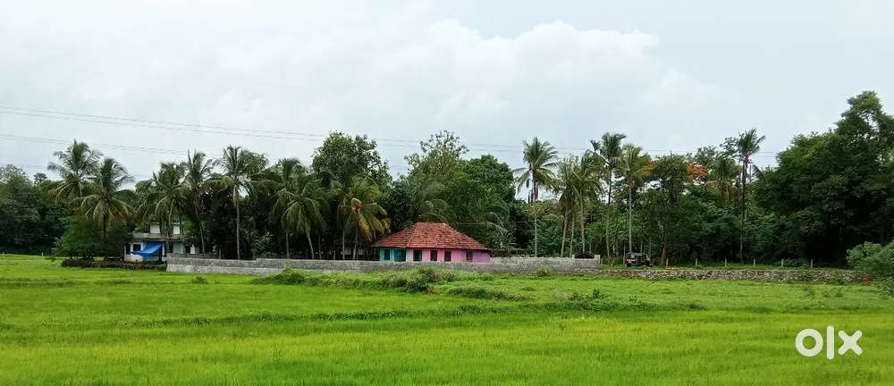 ചേലക്കര 25