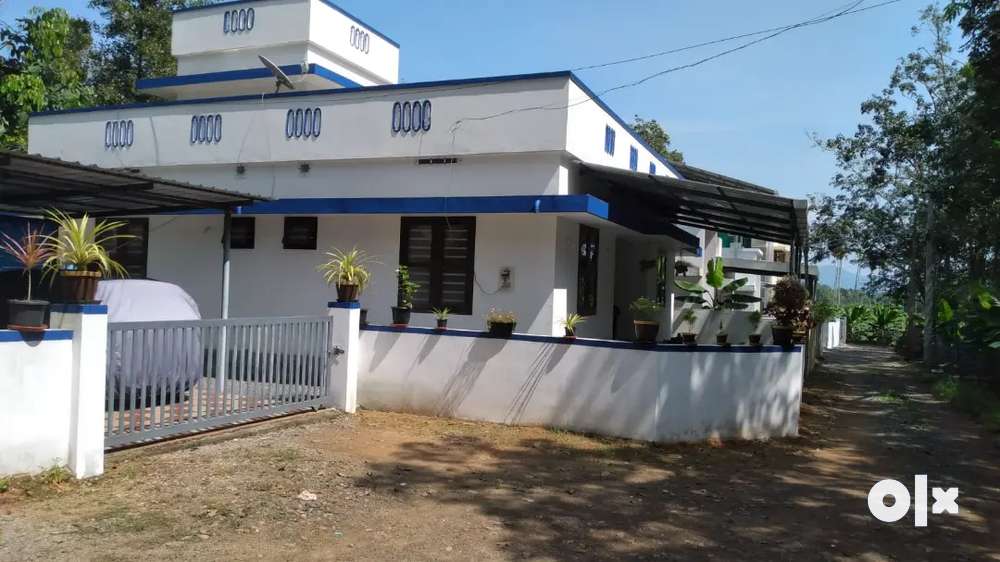 Angamaly thuravoor 7 cent 1160 sqft 3 bhk house for sale