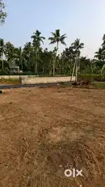 Low budget House plot in Neyyattinkara Muncipality