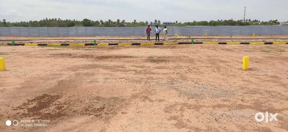 Plot good for future