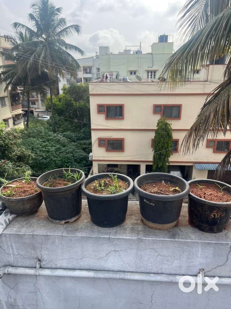 Free 15+ platsic pots with mud. Moving out. Getting rid of it. No COST