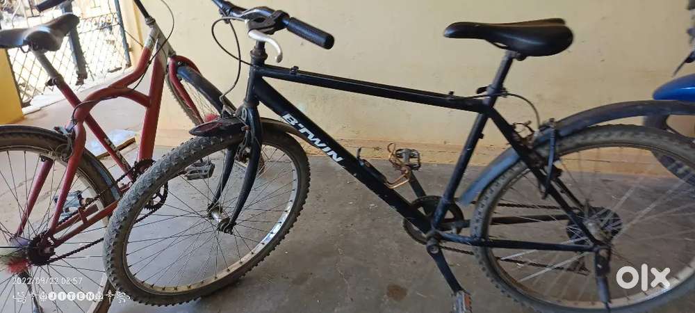 Bt win 1 year old cycle