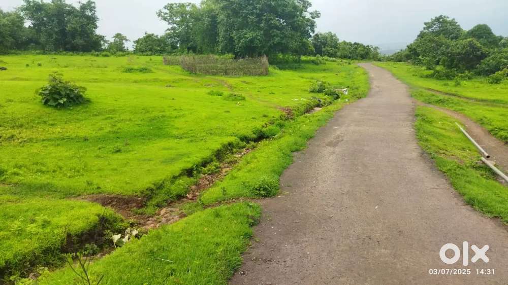 14LAKHS/ACRE-4 acres agriculture land for Sale in Mangaon Raigad dist