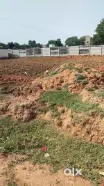DHONI FARM HOUSE SE 500 METER KI DURI PAR RESIDENTIAL PLOT GUTTU TOLI