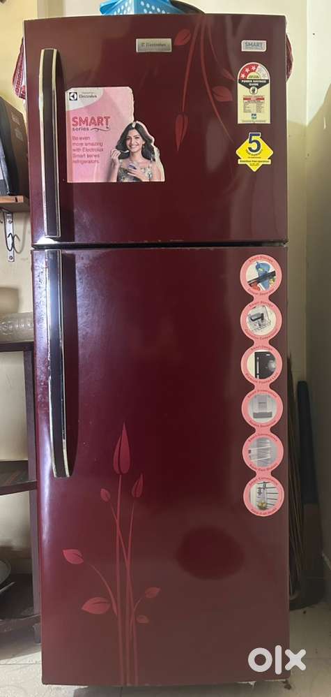 Electrolux double door refrigerator
