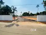 20 CENT HOUSE PLOT ( LAND) FOR SALE AT KAKKANAD THUTHIYOOR