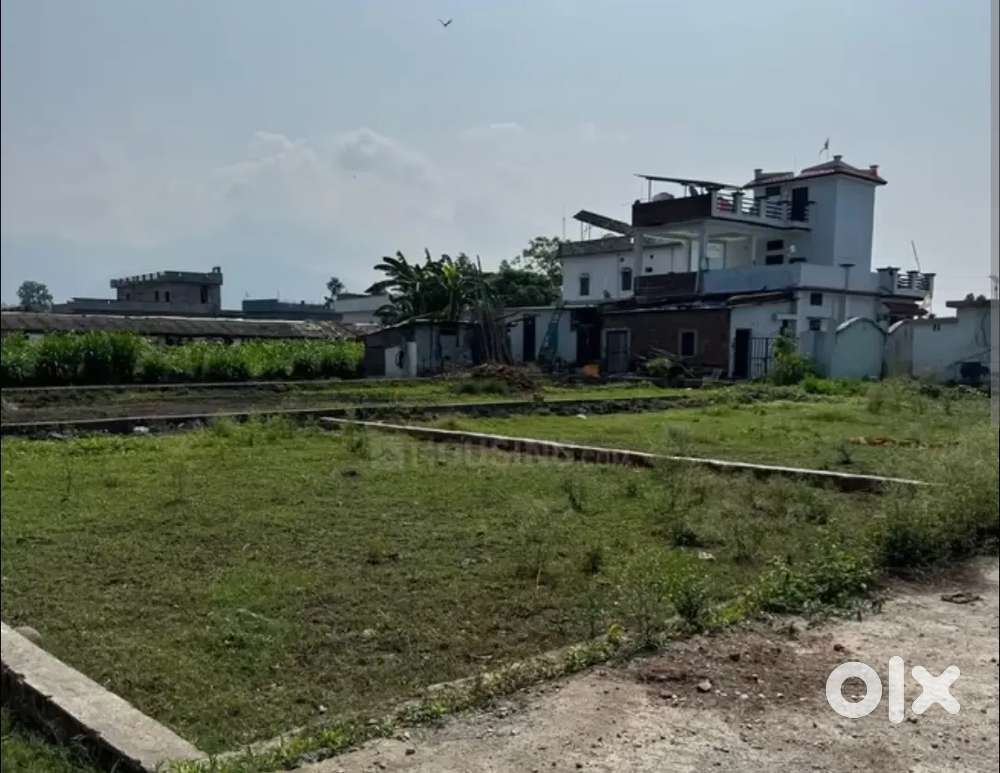 Rent par dena hai plot