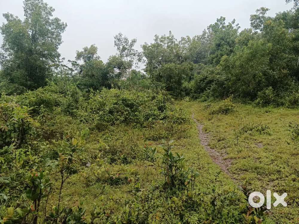 12 cents land in olavina halli, kinya kottekar mangaluru karnataka