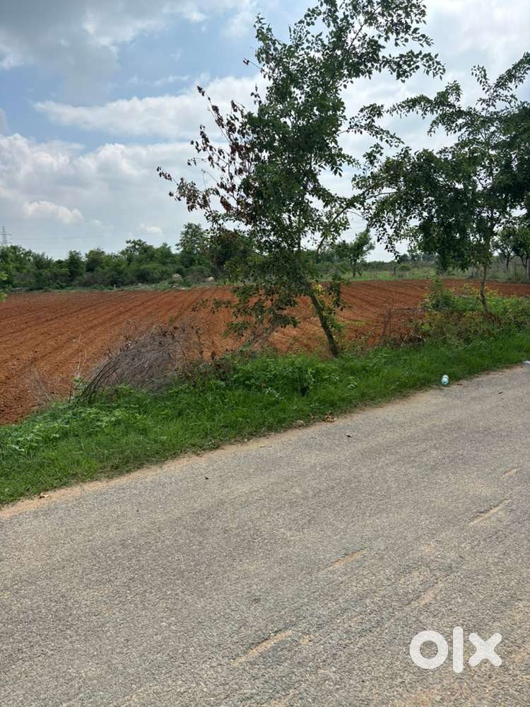 Form house Land for sell near BVRIT college campus Narsapur
