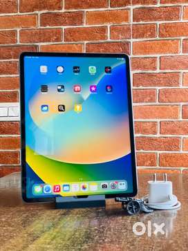 i Pad Pro M1 chip 12.9 inch 256gb