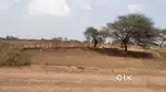 Green land bechna hai