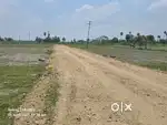 Vijayam Nagar