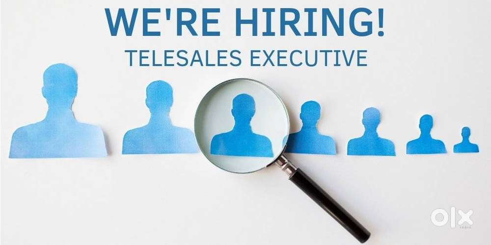 Telesales (Work Frome Home)