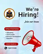 We're Hiring Everyone