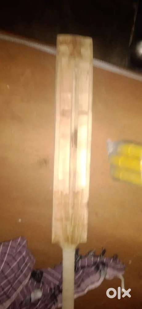 cricket bat and plastic  stamp  and plastic  bat