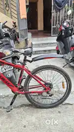 1year old cycle