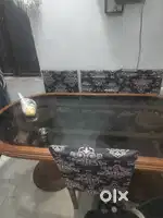 Dinning table oval
