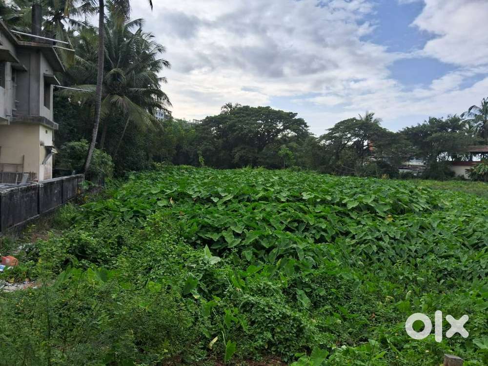 Agricultural land for sale in Bannanje Udupi
