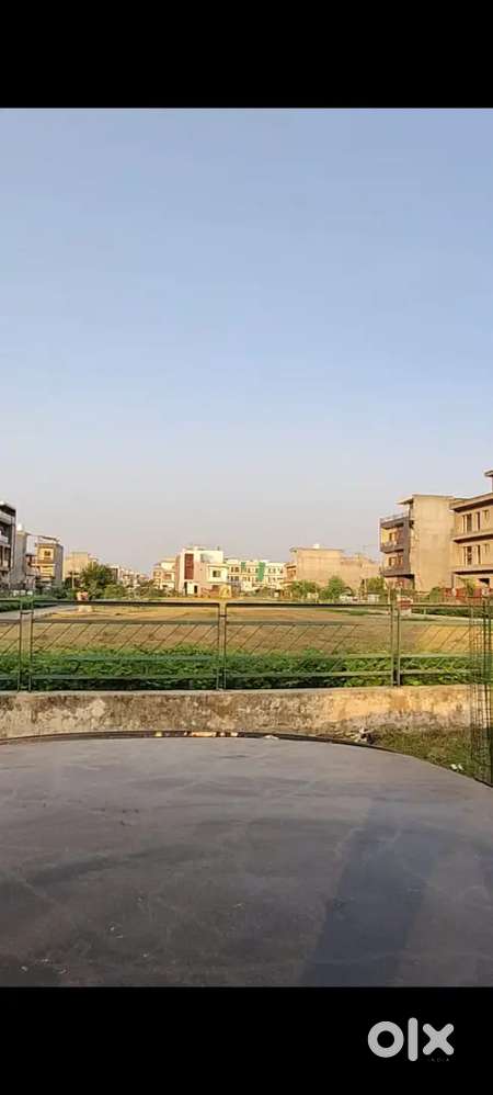 Expert real estate executive and expert in multimedia promotion