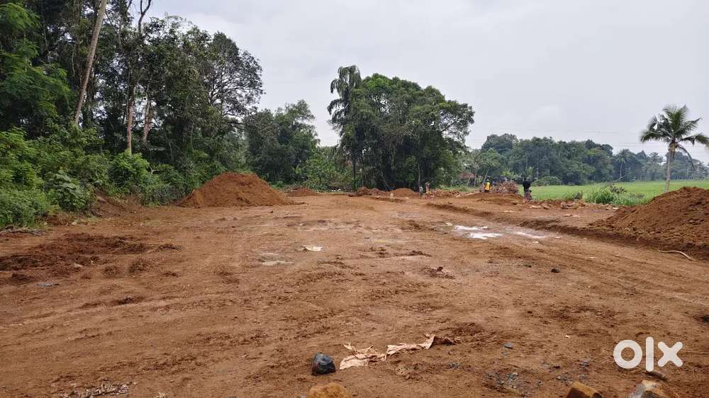 5.4.cent plot sale Ernakulam pukkattupady
