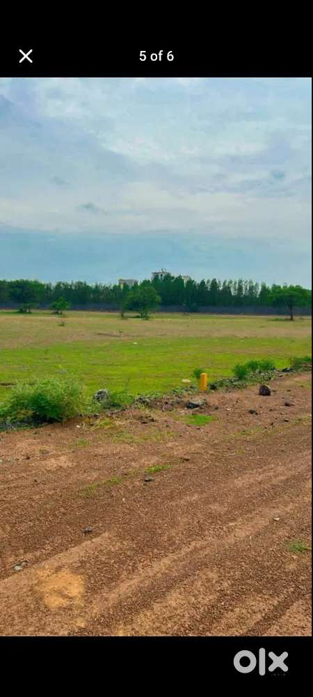 Plots near Naya Raipur at very low price