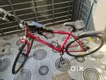 Roadrunner Pro D