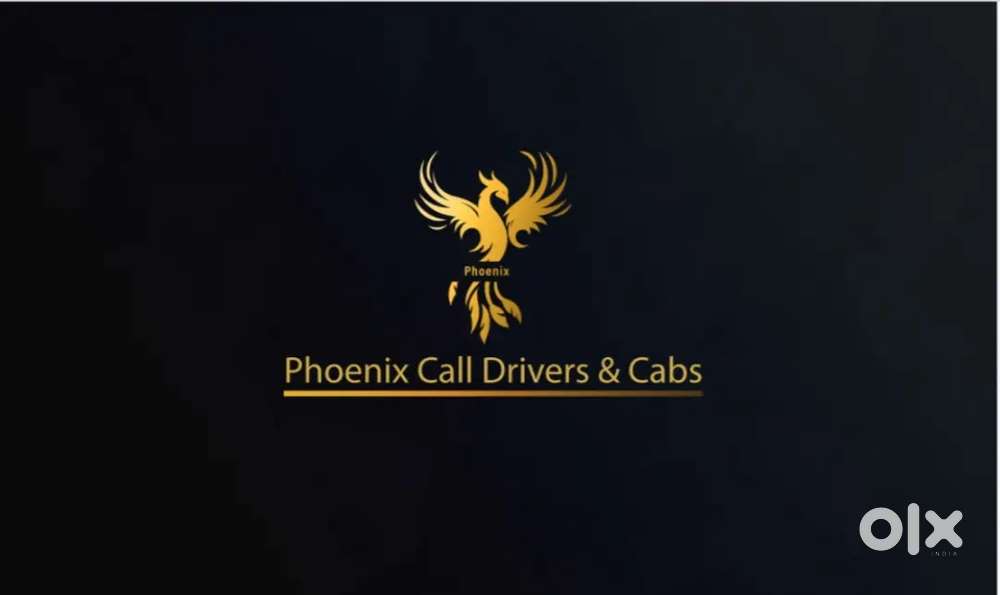 Driver job