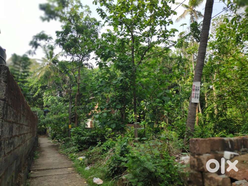 15 cents of land for sale near Thavakkara main road