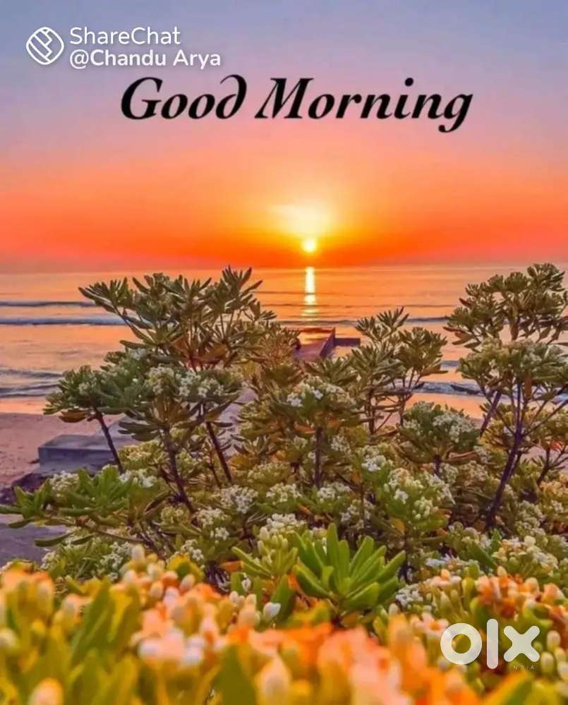 Plot in new gated colony at sanour road