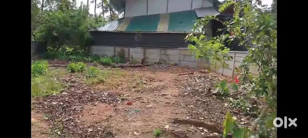 Road side 7 cent square plot near bharanikavu busstand