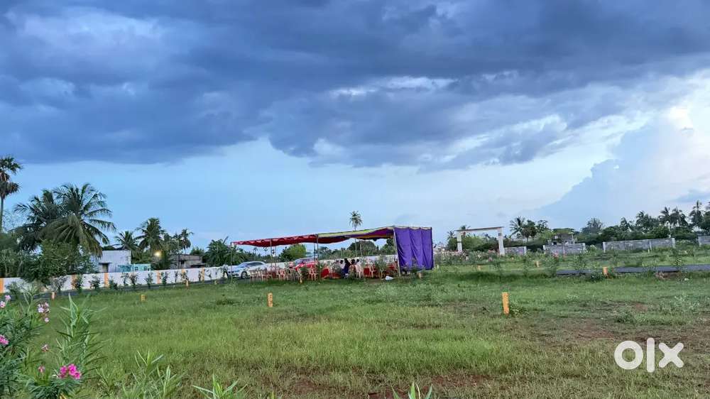 PREMIUM VILLA PLOTS FOR URGENT SALE DIRECT OWNER PROPERTY LOW BUDGET