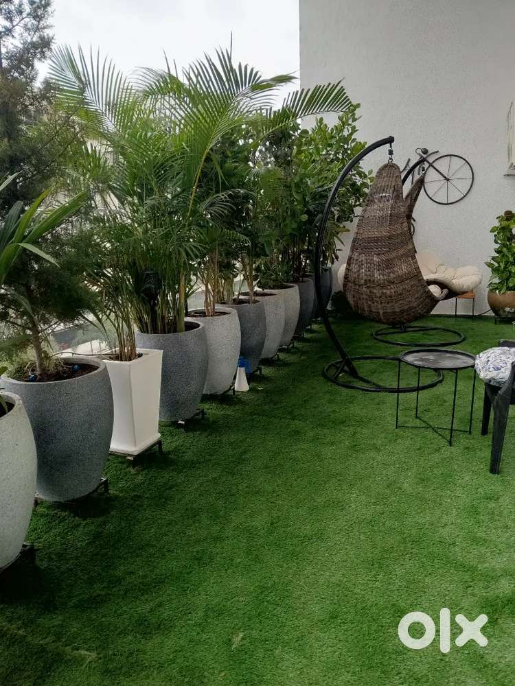 22 FRP pots  with metal stand ( plants included)