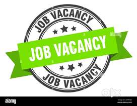 Indigo Airlines urgent hiring apply fast