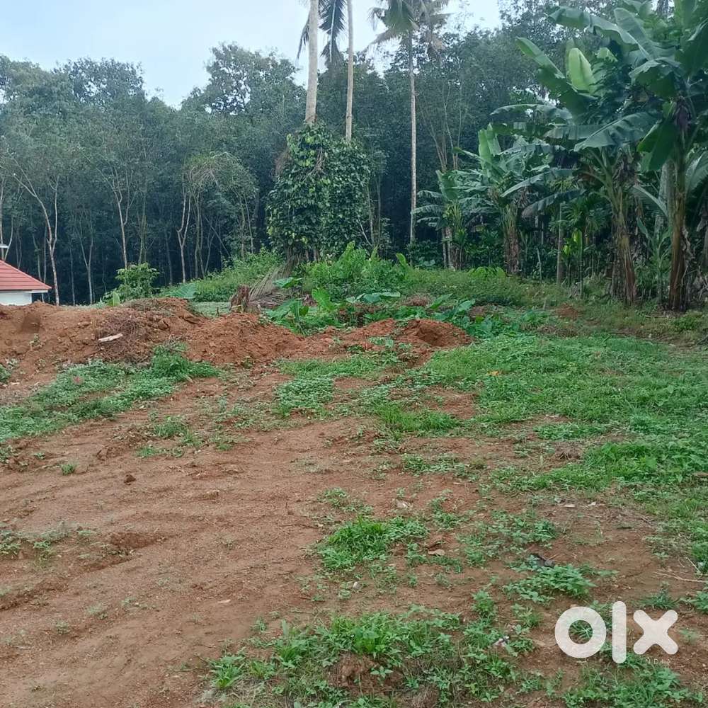 Plot for sale