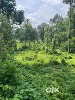 “Your perfect plot between Adoor and Pandalm -100 merers from MC Road”