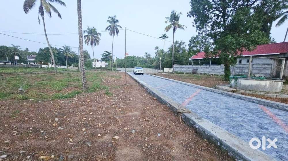 Angamaly Basilica Church 300 m-Premium Villa Plots-90% Loan-Free Reg