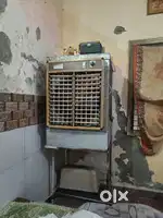 Classic one year old cooler