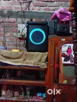 Philips  patty  box