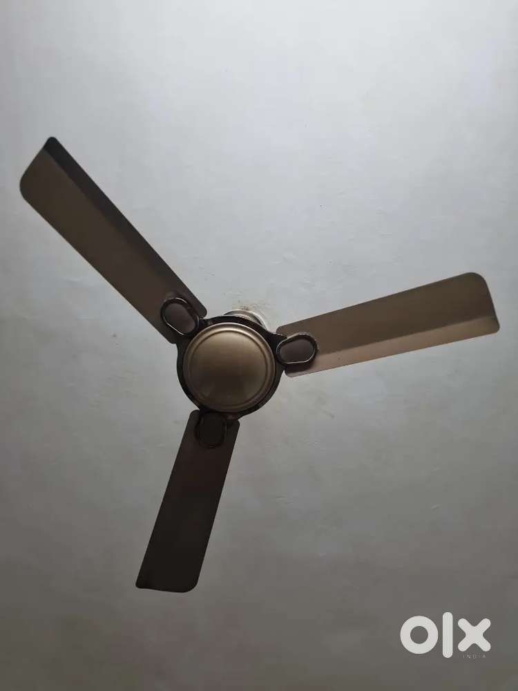 Ceiling Fan
