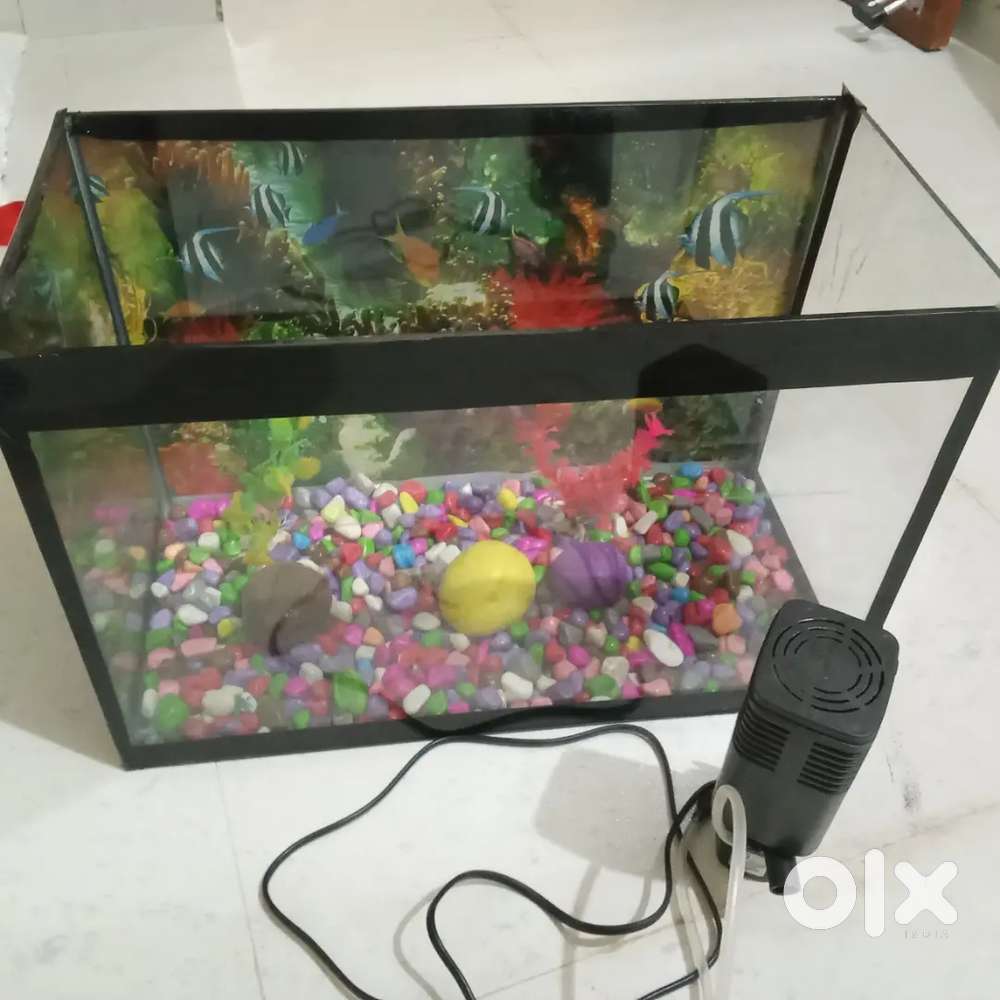 Aquarium new hai, not my used